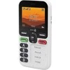 Išmanusis telefonas Doro Leva X10