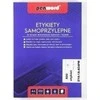 Dotts Lipnios etiketės A4/100K 8x105x74mm