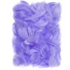 Dallprint Plunksnos 5-12cm 10g, šv.violetinės