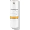 Dr. Hauschka DR. HAUSCHKA_Lip Care Stick lūpų priežiūros lazdelė 4,9 g