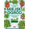 Dragon Miesto sodas. Daržovių ir žolelių auginimas balkonuose