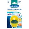 Šaldytuvo gaiviklis Dr.Beckmann 40g