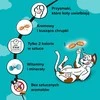 Kačių skanėstai - DREAMIES su katžole 60 g