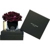 Set Herve Gambs: Ecorce Fauve, Room Purškiklis, 10 ml + Juodas Couture Flower, Porcelain, Aroma Reed Diffuser, Juodas