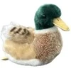 Dubi Drake antis 19 cm