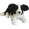 Dubi *PLUSZ pies Border Collie 45cm