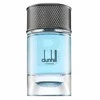 Dunhill Signature Collection Nordic Fougere EDP parfumuotas vanduo vyrams, 100 ml