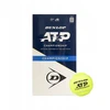 Dunlop ATP Championship teniso kamuoliai (2x4 vnt.)