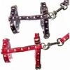 Duvo+ Duvo+ Brėžikliai triušiams "Triušio veidas" 25-45cm / 10mm - 120cm / 10mm