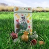 Duvo+ Garden Bites Fruity Buddies ''S'' 6cm 18 vnt. / 270g 3/36 (16427)