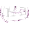 Dvivietė sofa, šviesiai pilka, 111 cm, aksomas