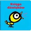 Dwie Siostry Garsų knyga