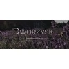 Dworzysk - Dvasinės pievos - Biri arbata 40g