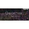 Dworzysk - Rozniec się - Biri arbata 30g