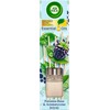 Kvapios lazdelės AIR WICK Reed Morning Dew & Blackberries, 40 ml