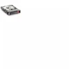Hewlett Packard (HP) HDD/250 GB 7.2 tūkst. aps./min. Ety 3,5" SATA **Siunčiama nauja, užplombuota, atsarginė dalis**