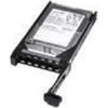 CoreParts Serverio diskas 146 GB 2,5 colio SAS-1 (3 Gb/s) (SA146005I838)