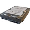 „Dell“ 1 TB 3,5 colio SATA III (6 Gb/s) serverio diskas (FNW88)