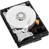 Serverio diskas HP 1TB 3,5 colio SATA II (3 Gb/s) (454146B21)