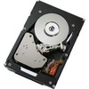 Dysk serwerowy IBM 900GB 2.5'' SAS-2 (6Gb/s) (81Y9915)