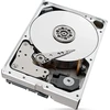 Serverio diskas Seagate SkyHawk AI 8TB 3,5'' SATA III (6 Gb/s) (ST8000VE0004)