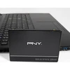 Dysk SSD PNY CS900 (bulk) 256GB 2.5'' SATA III (SSD7CS900-256-BLK)
