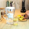 Filtravimo ąsotis Wessper D1 SOLID FutureFlow aquamax ąsotis (WES203-FF-WH)