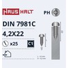 Savisriegiai Haushalt, DIN7981C, 4,2 x 22 mm, 25 vnt.