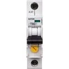 Eaton tarifo perjungiklis 1P 50- 63A Z- TS63 / 1 266856