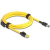 Eaton DELOCK Kabelis RJ45 Stecker Cat.6 zu Mini I/O8 Pin D-Form Typ2