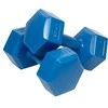 Enero Hantelių rinkinys EB Fit, 2x4kg, mėlynas
