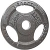 Hammertone svoris 1,25 kg Enero Fit