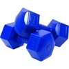 Enero Hantelių rinkinys EB Fit, 2x5kg, mėlynas