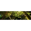 ECOLIGHT2 Eco Light* EC20087 sodo girlianda 1W LED 10M+ 10XG45 E27 2700K