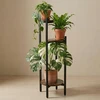 Edaxo Siauras stovimas gėlių vazonas STEM 3 gėlėms, Ø 33 x 80,5 cm