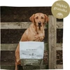 EDEN Semi-Moist antiena &amp; Tripe - semi-moist dog food - 10kg