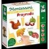 Edgard Nature Sensorinės kortelės. Gamtos 3+ Montessori kortelės su iliustracijomis KS1018