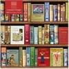 Educa Dėlionė 500 knygų Bodlio biblioteka