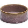 Edycja Świętego Pawła BOWL FOR DOGS JACE Rožinis 13.5