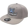 Kepurė EERINESS EERINESS snapback, pilkas, išsiuvinėtas logotipas