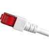 Efb Elektronik EFB EFB- Elektroninis ECOLAN - Patch- Kabelis - RJ-45 (M) iki RJ-45 (M) - 30 m - Poros metalinėje folijoje (PiMf) - CAT 6 - Be halogenų - baltas (K5518.30)