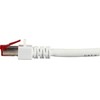 Efb Elektronik EFB EFB- Elektroninis ECOLAN - Patch- Kabelis - RJ-45 (M) iki RJ-45 (M) - 30 m - Poros metalinėje folijoje (PiMf) - CAT 6 - Be halogenų - baltas (K5518.30)
