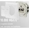 Efb Elektronik M-Cab CAT6A SOCKET FLUSH-MOUNTED RJ45/LSA+ CONNECT Baltas 2-FOLD