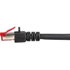 Efb Elektronik EFB Patchcord, S/FTP, Cat.6, LSZH, 20m (K5515.20)
