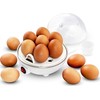 Eggwar Esperanza EKE001 EGG MASTER