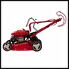Savaeigė vejapjovė Einhell GC-PM 46/5 S; 2 kW; 46 cm
