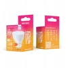 Eko Light „Telforceone Forever Light“ LED lemputė GU10 2,9 W 260 lm 3000 K, F klasė