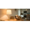 LEPRO 100094-WW-EU E27 Filament LED Bulb, 7.2W (100W), 1521 lm, 2700K, Class A