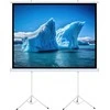 Art MENINĖS VADOVAS EKRANAS ANT A su stovu 140 colių 254x254cm TA-140 1:1 dvigubos viryklės