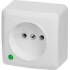 Elektro Plast Nasielsk GNIAZDO 2P N/T IP20 Baltas BERG